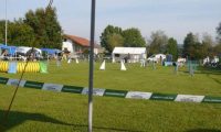 Agi_frontenh_03092016_004