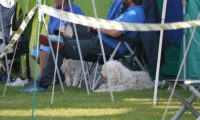 Agi_frontenh_03092016_007