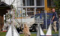 Agi_frontenh_03092016_047
