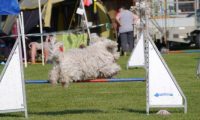 Agi_frontenh_03092016_058