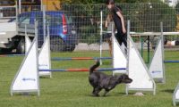Agi_frontenh_03092016_111