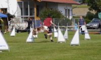 Agi_frontenh_03092016_138