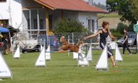 Agi_frontenh_03092016_161