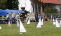 Agi_frontenh_03092016_163
