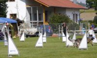 Agi_frontenh_03092016_170