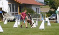 Agi_frontenh_03092016_204