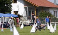 Agi_frontenh_03092016_230
