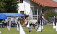 Agi_frontenh_03092016_231