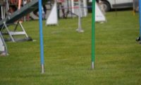 Agi_frontenh_03092016_296