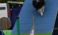 Agi_frontenh_03092016_449