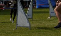 Agi_frontenh_03092016_461