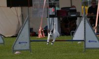 Agi_frontenh_03092016_535