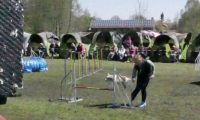 Agi_haag_30-04-2017001