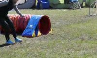 Agi_haag_30-04-2017014