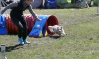 Agi_haag_30-04-2017016