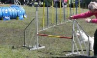 Agi_haag_30-04-2017033