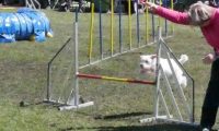 Agi_haag_30-04-2017034