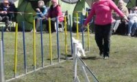 Agi_haag_30-04-2017040