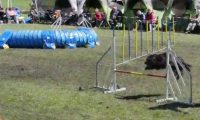 Agi_haag_30-04-2017093