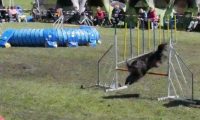 Agi_haag_30-04-2017094