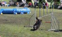 Agi_haag_30-04-2017095