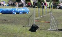 Agi_haag_30-04-2017096