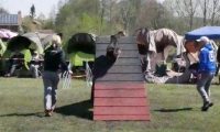 Agi_haag_30-04-2017098