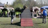 Agi_haag_30-04-2017100