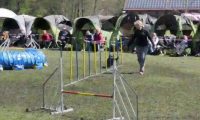 Agi_haag_30-04-2017102