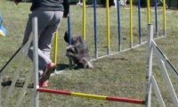 Agi_haag_30-04-2017104