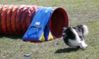 Agi_haag_30-04-2017123