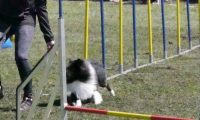 Agi_haag_30-04-2017131