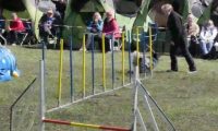 Agi_haag_30-04-2017161