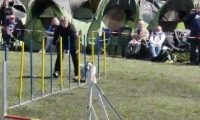 Agi_haag_30-04-2017163