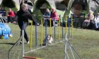 Agi_haag_30-04-2017164