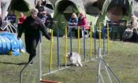 Agi_haag_30-04-2017165