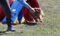 Agi_haag_30-04-2017196