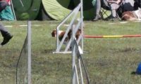 Agi_haag_30-04-2017212