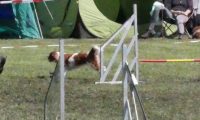 Agi_haag_30-04-2017213