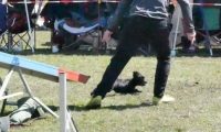 Agi_haag_30-04-2017236