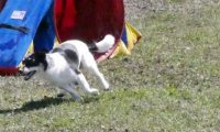 Agi_haag_30-04-2017254