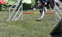 Agi_haag_30-04-2017264
