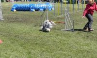 Agi_haag_30-04-2017275