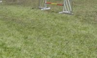 Agi_haag_30-04-2017277