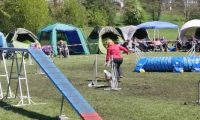 Agi_haag_30-04-2017278
