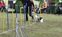 Agi_haag_30-04-2017300