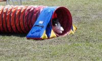 Agi_haag_30-04-2017311