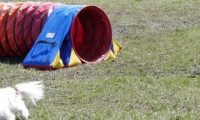 Agi_haag_30-04-2017316