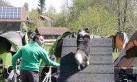 Agi_haag_30-04-2017326