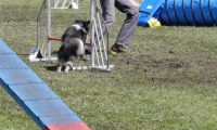Agi_haag_30-04-2017333